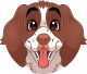 images/mymoments/176/01_KARAKREREK/Caine/58-English-Springer-Spaniel_trimmed.png