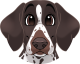 images/mymoments/176/01_KARAKREREK/Caine/59-English-Pointer_trimmed.png