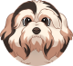 images/mymoments/176/01_KARAKREREK/Caine/61-Havanese_trimmed.png