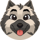 images/mymoments/176/01_KARAKREREK/Caine/62-Icelandic-Sheepdog_trimmed.png