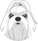 images/mymoments/176/01_KARAKREREK/Caine/64-Maltese_trimmed.png
