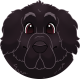 images/mymoments/176/01_KARAKREREK/Caine/67-Newfoundland_trimmed.png
