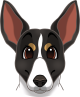 images/mymoments/176/01_KARAKREREK/Caine/74-Rat-Terrier_trimmed.png