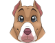 images/mymoments/176/01_KARAKREREK/Caine/75-Pitbull_trimmed.png