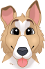 images/mymoments/176/01_KARAKREREK/Caine/82-Alaskan-Klee-Kai_trimmed.png