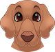 images/mymoments/176/01_KARAKREREK/Caine/87-Redbone-Coonhound_trimmed.png