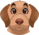 images/mymoments/176/01_KARAKREREK/Caine/88-Border-Terrier_trimmed.png