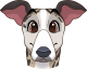 images/mymoments/176/01_KARAKREREK/Caine/91-Whippet_trimmed.png