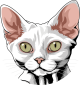 images/mymoments/176/01_KARAKREREK/Pisică/Devon-rex--White_trimmed.png