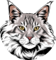 images/mymoments/176/01_KARAKREREK/Pisică/Maine-coon---Black-Silver-Tabby_trimmed.png