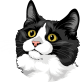images/mymoments/176/01_KARAKREREK/Pisică/Munchkin_trimmed.png