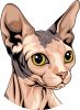 images/mymoments/176/01_KARAKREREK/Pisică/Shynx---Grey-and-nude_trimmed.png