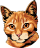 images/mymoments/176/01_KARAKREREK/Pisică/Tabby---Ginger_trimmed.png