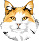 images/mymoments/176/01_KARAKREREK/Pisică/Turkish-van_trimmed.png