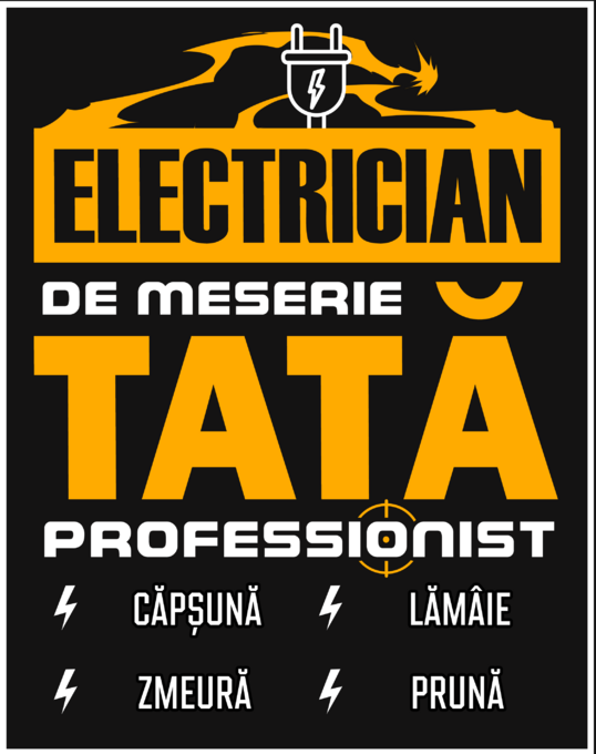 Electrician de meserie tată profesionist