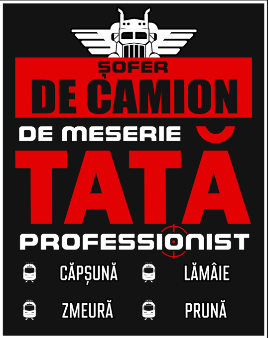 Șofer de Camion de meserie