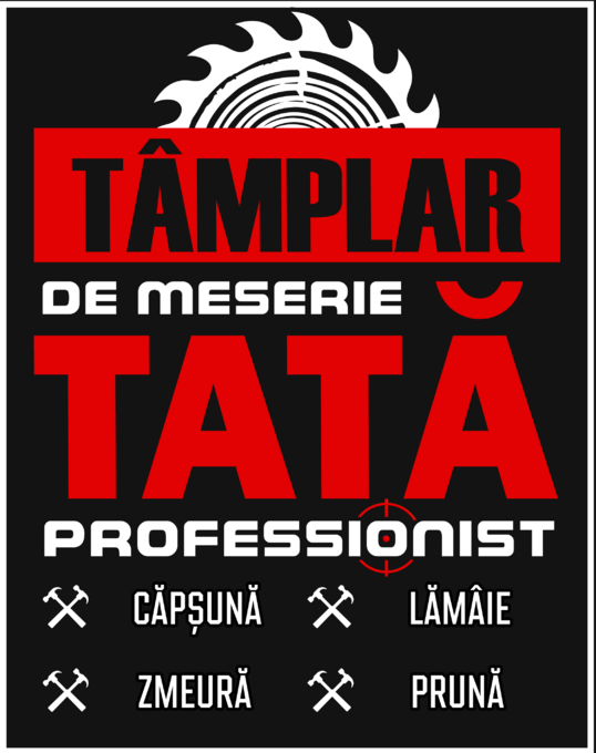 Tâmplar de meserie tată profesionist