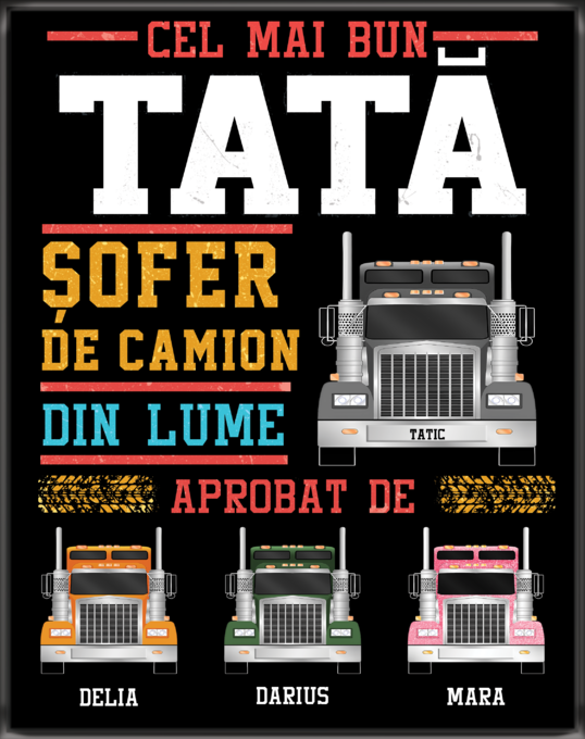 Sofer de camion Tata