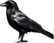 images/mymoments/201/09_Bal_oldali_boszi_kiegeszitoi/02_trimmed.png
