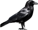 images/mymoments/201/17_Jobb_oldali_boszi_kiegeszitoi/02_trimmed.png