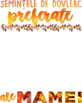 images/mymoments/205/02_FELIRATOK/02_trimmed.png