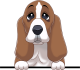 images/mymoments/208/01_KARAKTEREK/1_1_kutya/2_kutyak/10-basset-hound_trimmed.png