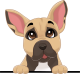 images/mymoments/208/01_KARAKTEREK/1_1_kutya/2_kutyak/11-puggle_trimmed.png