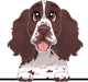 images/mymoments/208/01_KARAKTEREK/1_1_kutya/2_kutyak/12-french-spaniel_trimmed.png