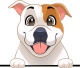 images/mymoments/208/01_KARAKTEREK/1_1_kutya/2_kutyak/16-pitbull-terrier_trimmed.png