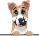 images/mymoments/208/01_KARAKTEREK/1_1_kutya/2_kutyak/17-american-leopard-hound_trimmed.png