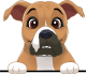 images/mymoments/208/01_KARAKTEREK/1_1_kutya/2_kutyak/18-boxer_trimmed.png
