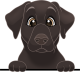 images/mymoments/208/01_KARAKTEREK/1_1_kutya/2_kutyak/19-vizsla_trimmed.png
