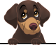 images/mymoments/208/01_KARAKTEREK/1_1_kutya/2_kutyak/20-dachshund_trimmed.png