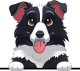images/mymoments/208/01_KARAKTEREK/1_1_kutya/2_kutyak/21-border-collie_trimmed.png