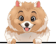 images/mymoments/208/01_KARAKTEREK/1_1_kutya/2_kutyak/22-pomeranian_trimmed.png