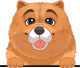 images/mymoments/208/01_KARAKTEREK/1_1_kutya/2_kutyak/27-chow-chow_trimmed.png