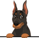 images/mymoments/208/01_KARAKTEREK/1_1_kutya/2_kutyak/28-doberman-pinscher_trimmed.png