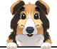 images/mymoments/208/01_KARAKTEREK/1_1_kutya/2_kutyak/31-rough-collie_trimmed.png