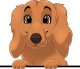 images/mymoments/208/01_KARAKTEREK/1_1_kutya/2_kutyak/33-goldendoodle_trimmed.png