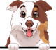 images/mymoments/208/01_KARAKTEREK/1_1_kutya/2_kutyak/34-american-shepherd_trimmed.png
