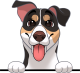 images/mymoments/208/01_KARAKTEREK/1_1_kutya/2_kutyak/36-entlebucher_trimmed.png