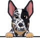 images/mymoments/208/01_KARAKTEREK/1_1_kutya/2_kutyak/40-german-shorthaired-pointer_trimmed.png