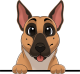 images/mymoments/208/01_KARAKTEREK/1_1_kutya/2_kutyak/43-belgian-malinois_trimmed.png