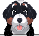 images/mymoments/208/01_KARAKTEREK/1_1_kutya/2_kutyak/45-bernese-mountain_trimmed.png