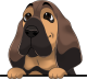 images/mymoments/208/01_KARAKTEREK/1_1_kutya/2_kutyak/47-bloodhound_trimmed.png