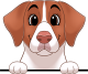 images/mymoments/208/01_KARAKTEREK/1_1_kutya/2_kutyak/49-brittany_trimmed.png