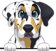 images/mymoments/208/01_KARAKTEREK/1_1_kutya/2_kutyak/51-catahoula_trimmed.png