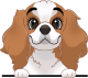 images/mymoments/208/01_KARAKTEREK/1_1_kutya/2_kutyak/52-cavalier-king-charles-spaniel_trimmed.png