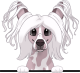 images/mymoments/208/01_KARAKTEREK/1_1_kutya/2_kutyak/54-chinese-crested_trimmed.png