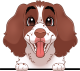 images/mymoments/208/01_KARAKTEREK/1_1_kutya/2_kutyak/58-english-springer-spaniel_trimmed.png